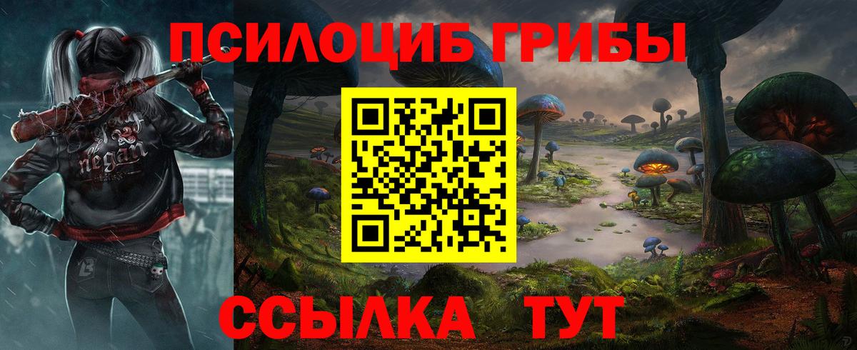 где купить наркоту  Псилоцибиновые грибы мицелий  Галлюциногенные грибы прущие грибы  Вход с VPN  Братск 